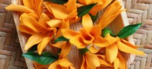 Champa Flower Fragrance Oil