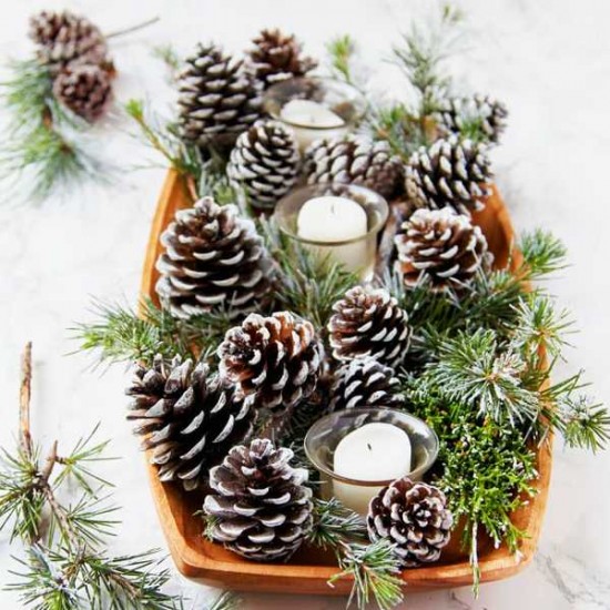 Christmas Tree / White Pine Fragrance Oil