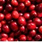 Cranberry Relish Fragrance Oil